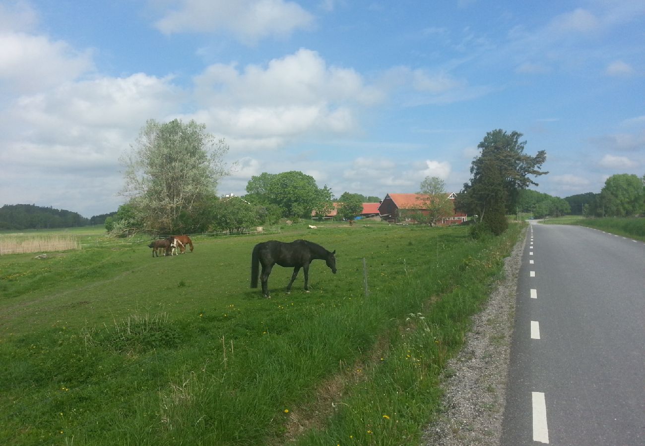 Ferienhaus in Sköldinge - Flendiverna