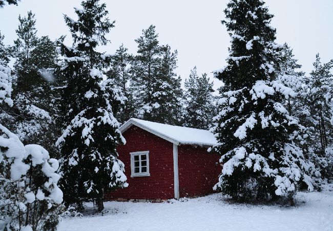 Ferienhaus in Visby - Gotland Urlaub umgeben von Wald