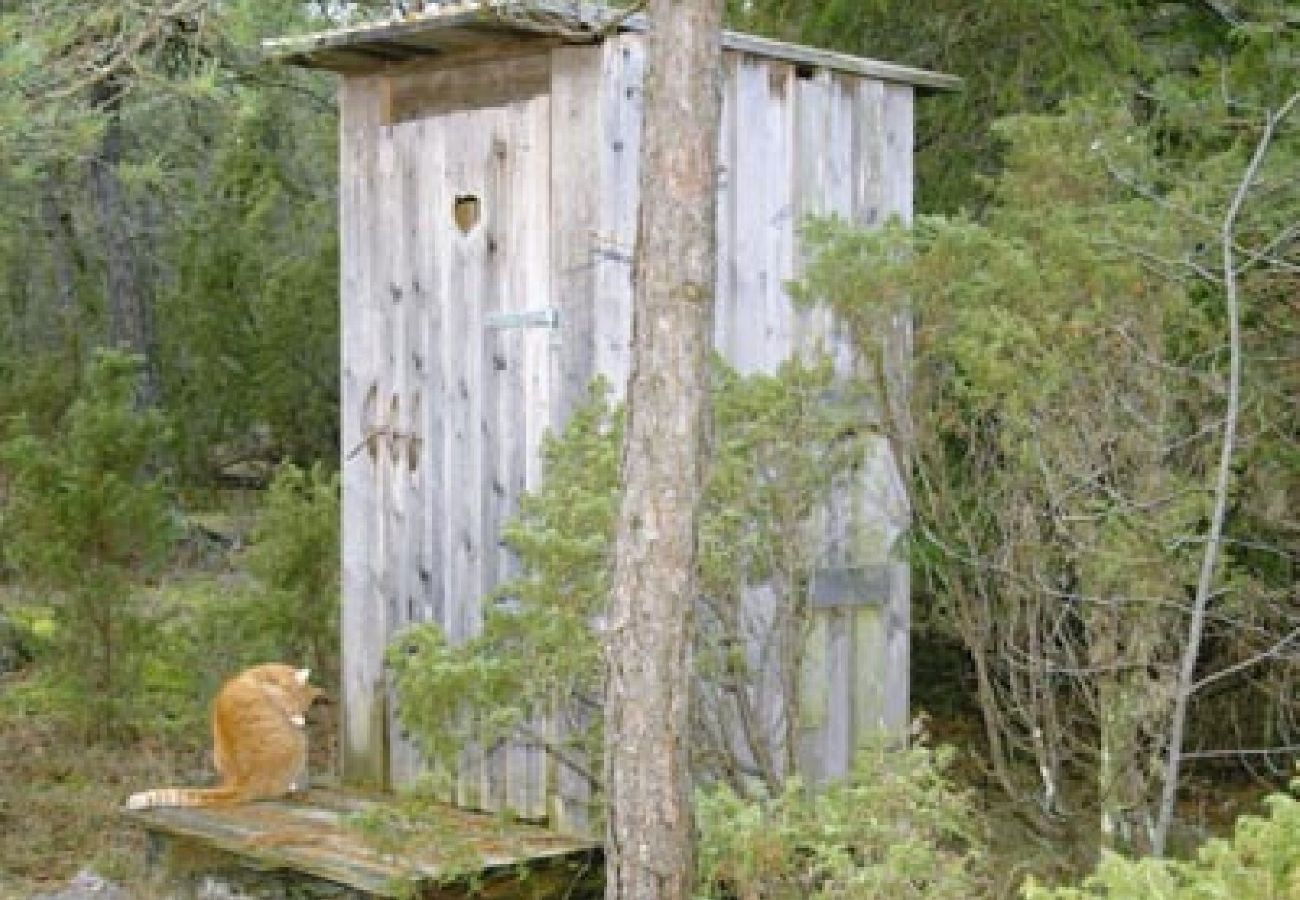 Ferienhaus in Visby - Gotland Urlaub umgeben von Wald