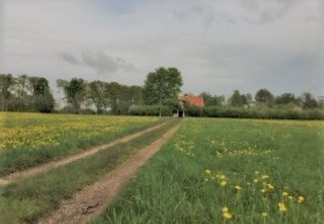 Ferienhaus in Skruv - Großes traditionelles Holzhaus aus dem 19. Jahrhundert