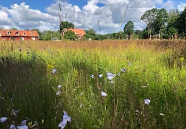 Ferienhaus in Skruv - Großes traditionelles Holzhaus aus dem 19. Jahrhundert