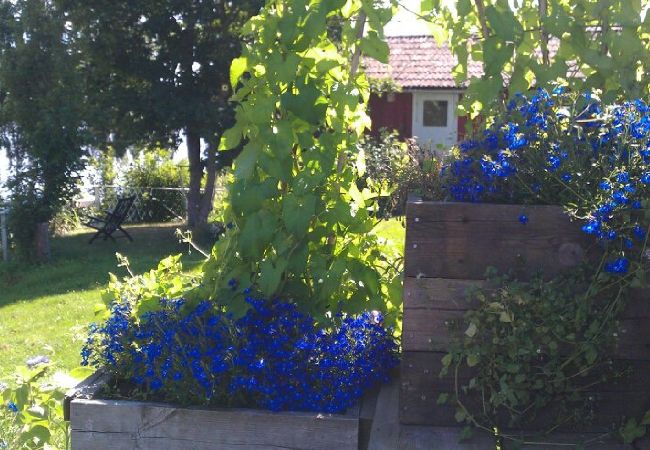 Ferienhaus in Söderbärke - Sjöstuga Barken Ferienhaus in Söderbärke - Sjöstuga Barken