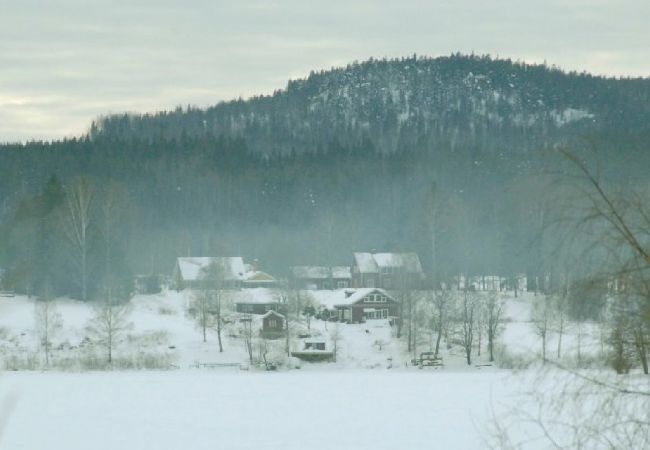 Ferienhaus in Söderbärke - Sjöstuga Barken