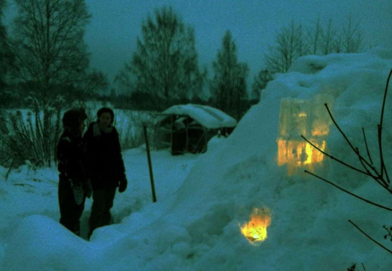 Ferienhaus in Söderbärke - Sjöstuga Barken