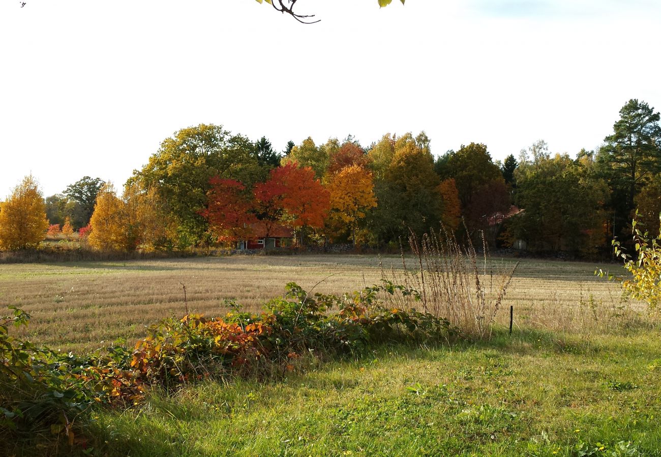 Ferienhaus in Ålem - Ferienhaus in den Schären der Ostküste