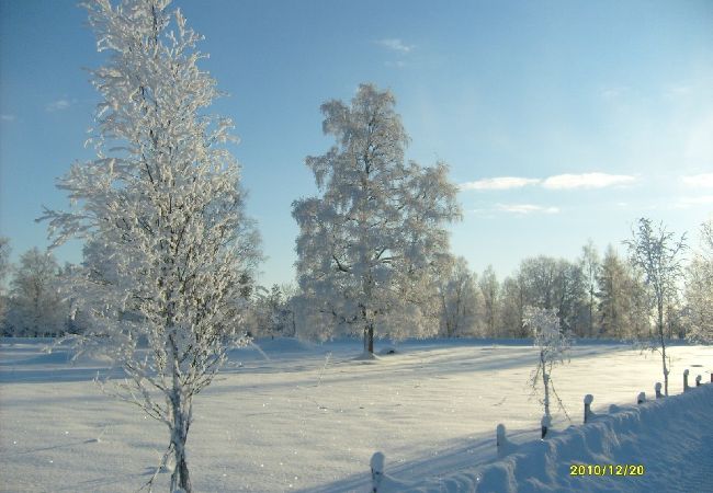 Ferienhaus in Åseda - Preiswerter Urlaub umgeben von Wald- und Seen