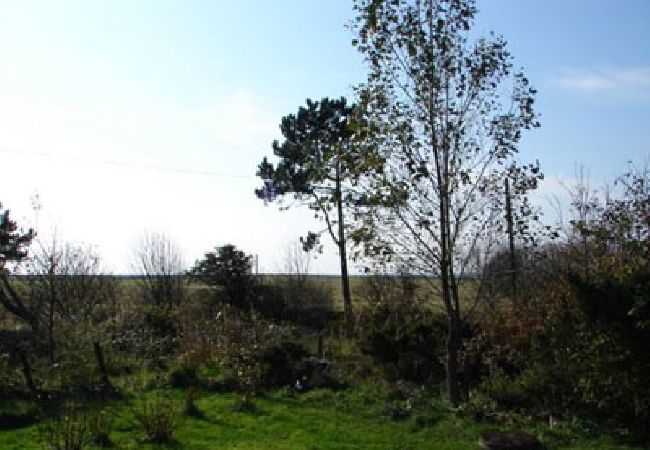Ferienhaus in Glommen - Gemütliches Ferienhaus an der Westküste Schwedens Ferienhaus in Glommen - Gemütliches Ferienhaus an der Westküste Schwedens