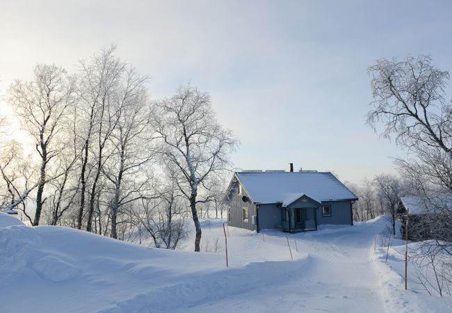 Ferienhaus in Tärnaby - Ferienhaus in den Bergen mit Panoramablick