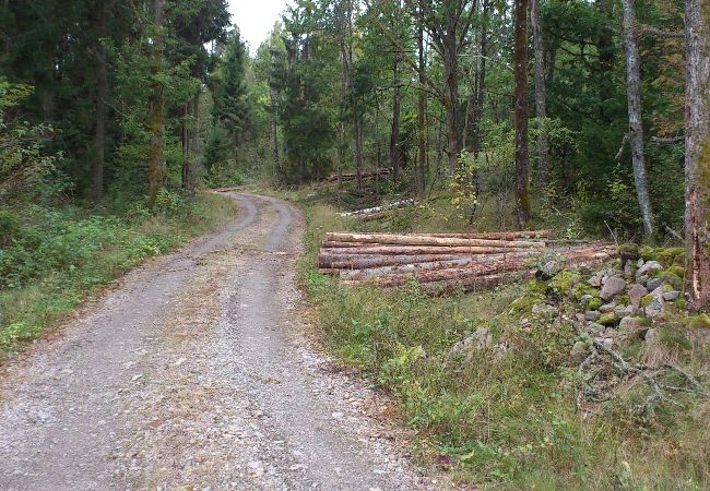 Ferienhaus in Forsheda - Einsames Ferienhaus in  Småland direkt am See Ferienhaus in Forsheda - Einsames Ferienhaus in  Småland direkt am See