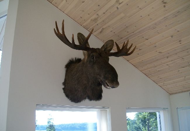 Ferienhaus in Forsheda - Einsames Ferienhaus in  Småland direkt am See Ferienhaus in Forsheda - Einsames Ferienhaus in  Småland direkt am See