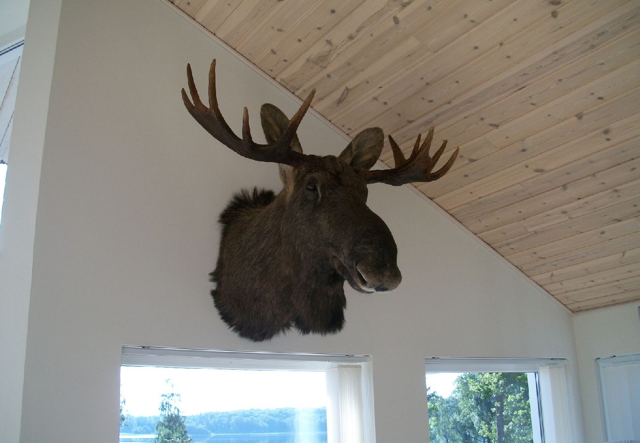 Ferienhaus in Forsheda - Einsames Ferienhaus in  Småland direkt am See