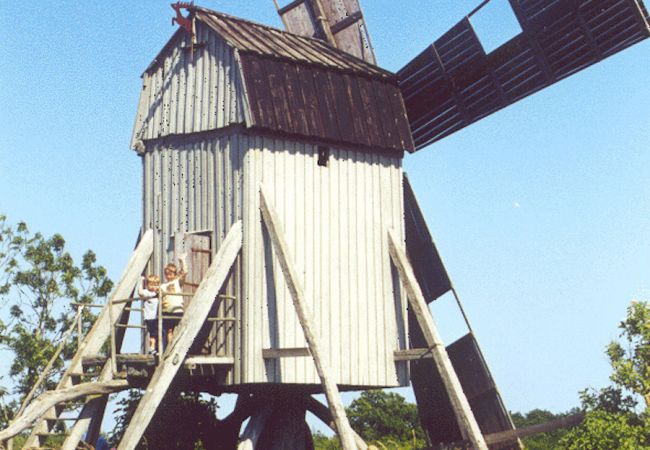 Ferienhaus in Borgholm - Urlaub auf Öland bei Borgholm