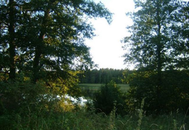 Ferienhaus in Bergshamra - Älteres Ferienhaus am See mit Boot in Roslagen Ferienhaus in Bergshamra - Älteres Ferienhaus am See mit Boot in Roslagen
