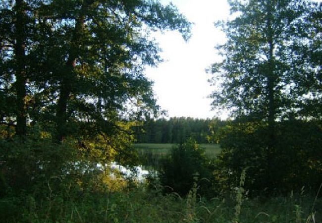 Ferienhaus in Bergshamra - Älteres Ferienhaus am See mit Boot in Roslagen