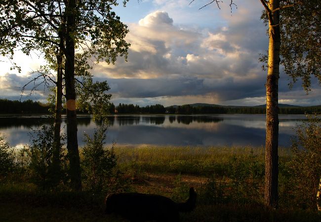 Ferienhaus in Gargnäs - Ferienhaus in Lapplands Weiten