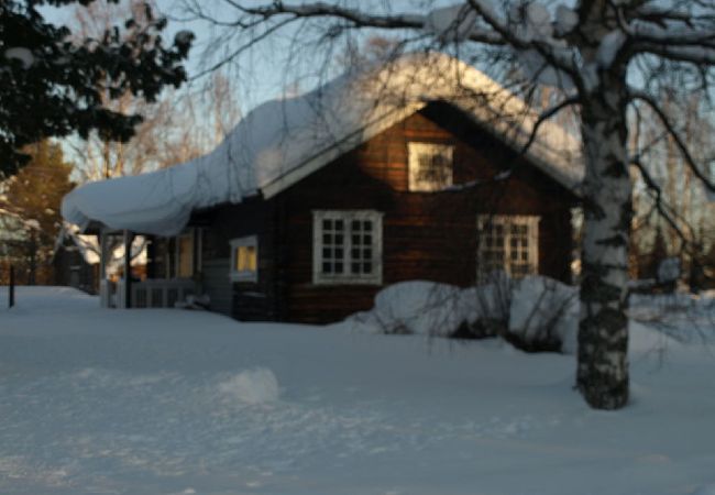 Ferienhaus in Gargnäs - Ferienhaus in Lapplands Weiten