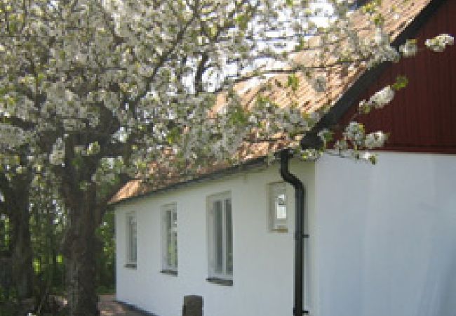 Ferienhaus in Landskrona - Rosenhill