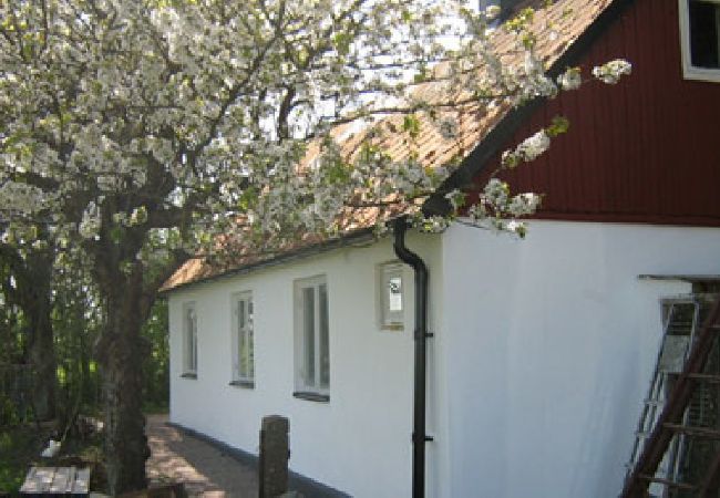 Ferienhaus in Landskrona - Rosenhill