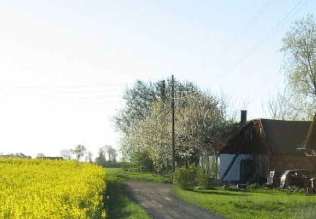 Ferienhaus in Landskrona - Rosenhill