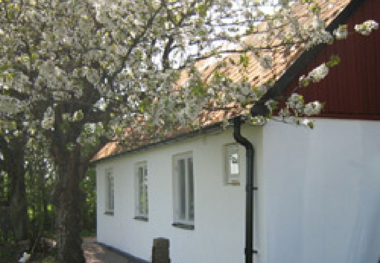 Ferienhaus in Landskrona - Rosenhill