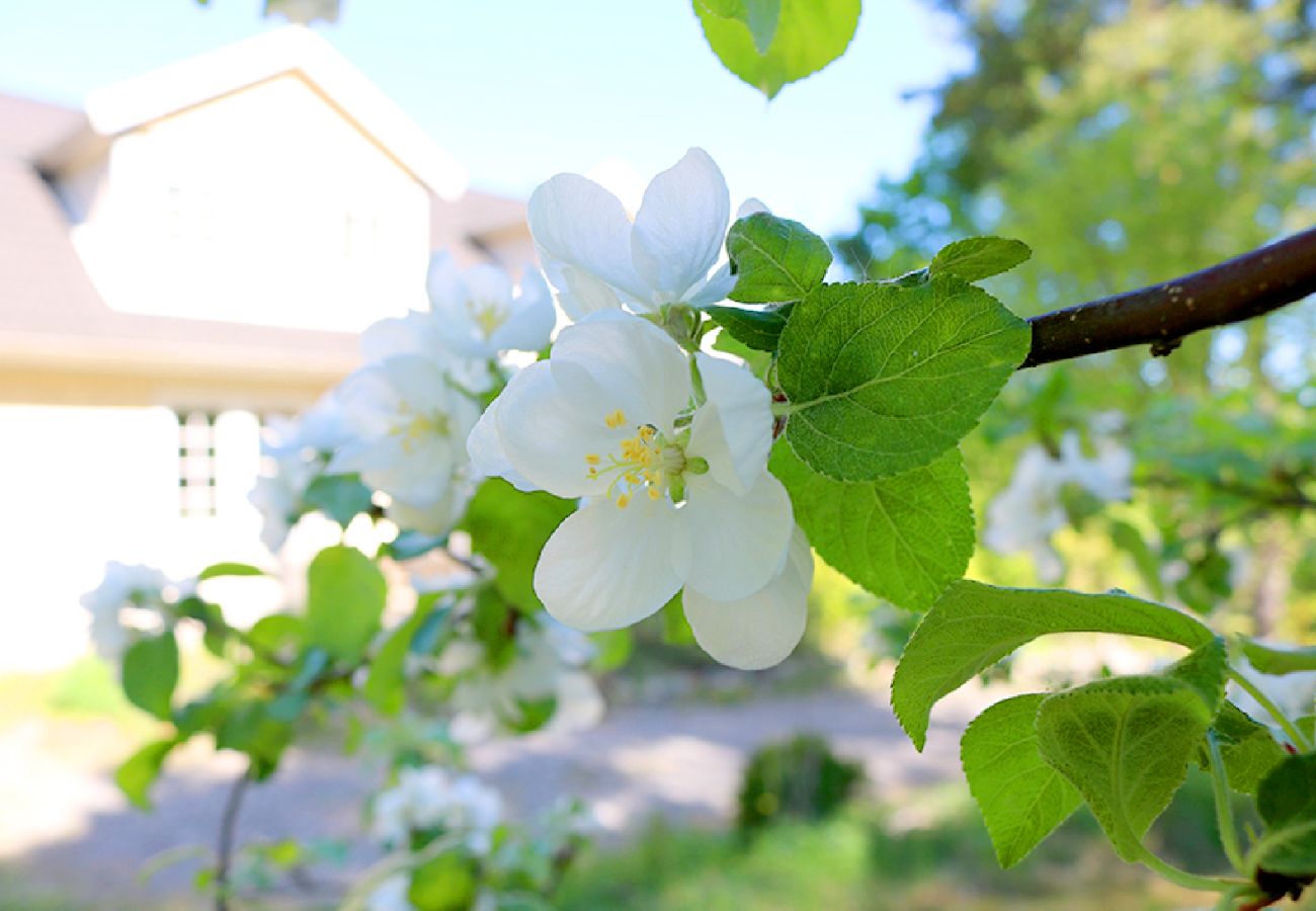 Ferienhaus in Svartsjö - Natur- und City Urlaub bei Stockholm auf dem Lande 