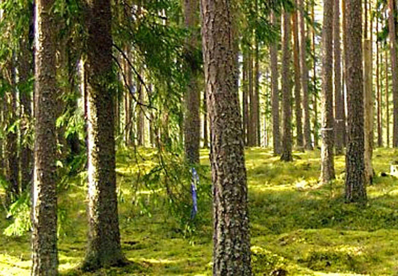 Ferienhaus in Svartsjö - Natur- und City Urlaub bei Stockholm auf dem Lande 