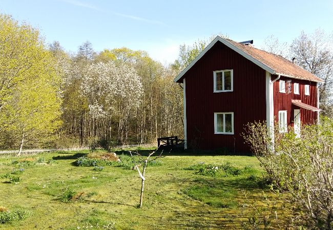 Ferienhaus in Gamleby - Ferienhaus zwischen Astrid Lindgren Welt und Västerviks Schärengarten