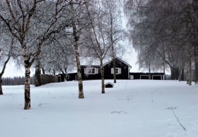Ferienhaus in Vara - Lugnet
