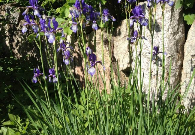 Ferienhaus in Linderöd - Stuga Linderödsåsen Ferienhaus in Linderöd - Stuga Linderödsåsen