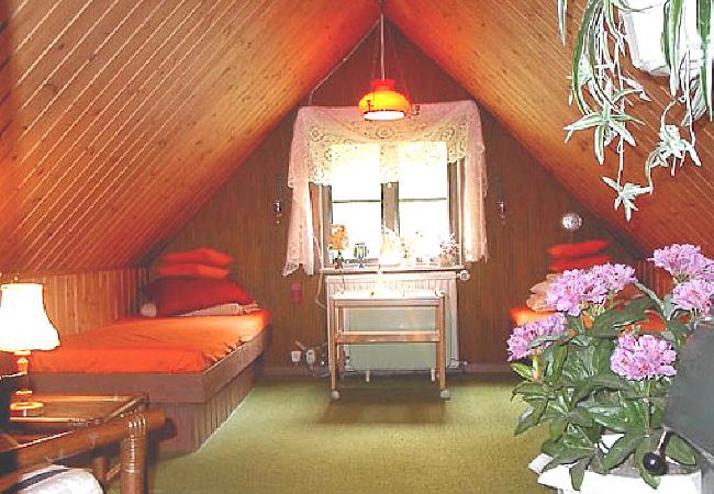 Ferienhaus in Vissefjärda - Rot-weisses Ferienhaus mit Boot unweit vom See Ferienhaus in Vissefjärda - Rot-weisses Ferienhaus mit Boot unweit vom See
