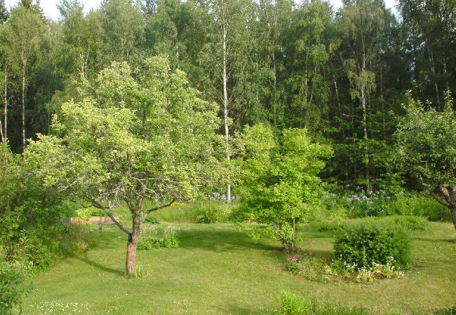 Ferienhaus in Alstermo - Schönes renoviertes Ferienhaus in Småland 