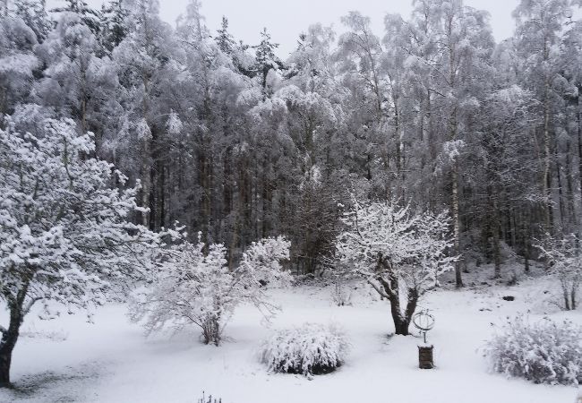 Ferienhaus in Alstermo - Schönes renoviertes Ferienhaus in Småland 