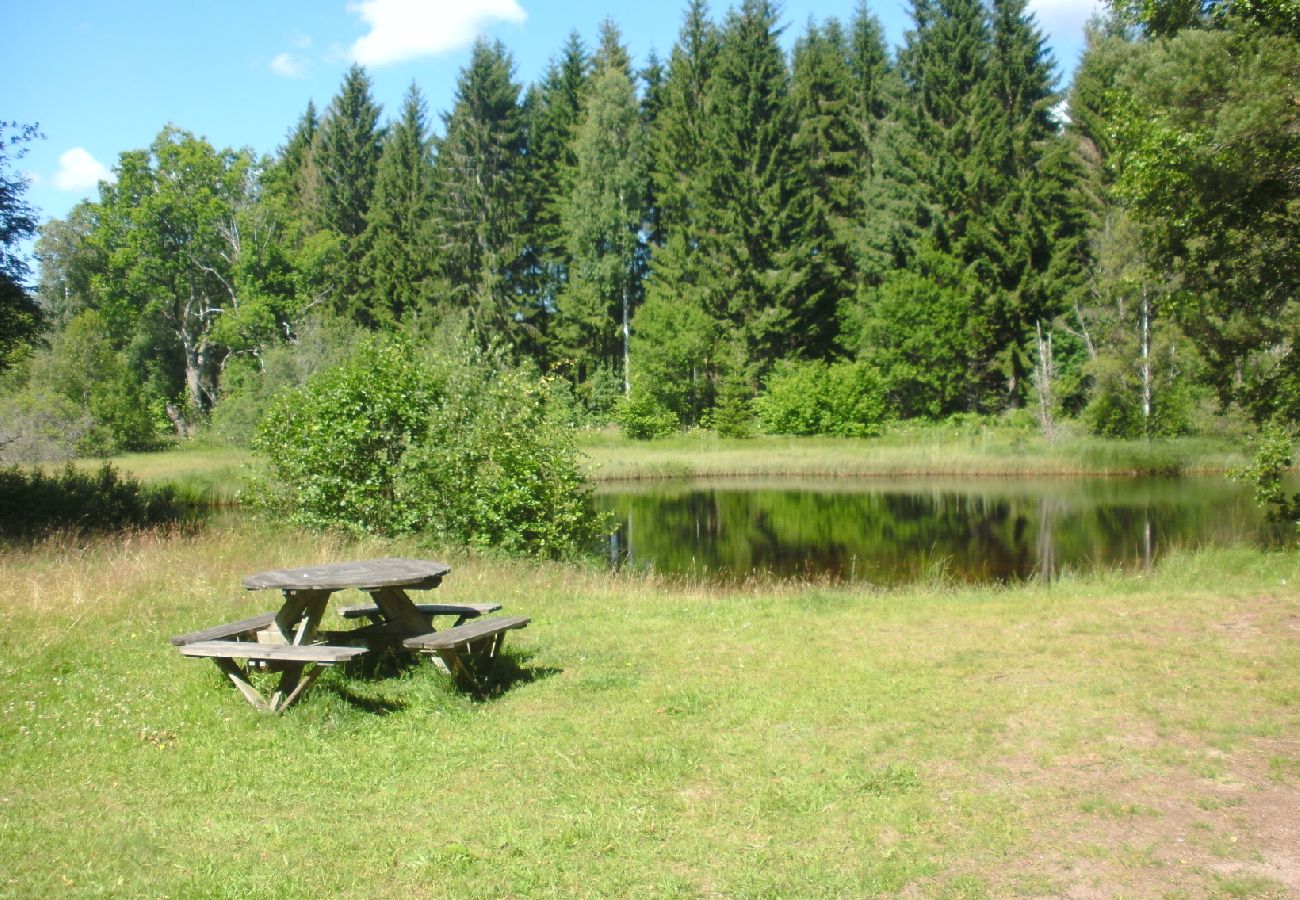 Ferienhaus in Alstermo - Schönes renoviertes Ferienhaus in Småland 