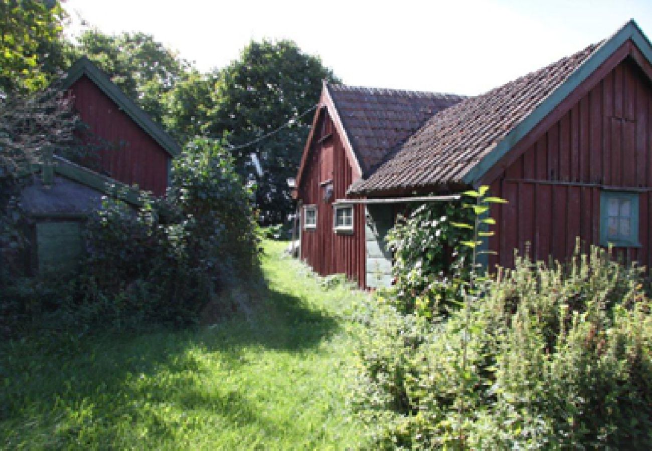 Ferienhaus in Borghamn - Skedet 509