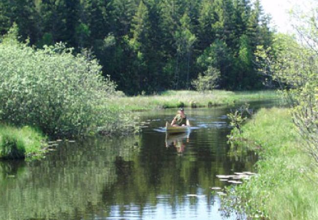 Ferienhaus in Öxabäck - Modernes Angler-Ferienhaus in Südschweden