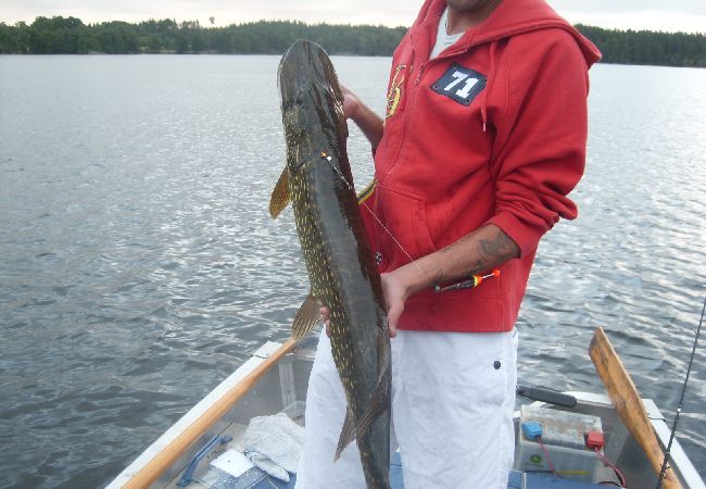 Ferienhaus in Öxabäck - Schönes Angler-Ferienhaus in Südschweden Ferienhaus in Öxabäck - Schönes Angler-Ferienhaus in Südschweden