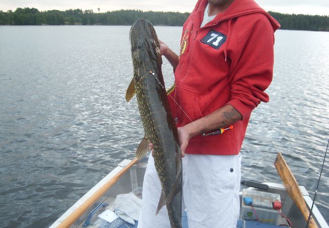 Ferienhaus in Öxabäck - Modernes Angler-Ferienhaus in Südschweden