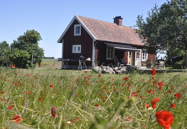 Ferienhaus in Borghamn - Vättern Torp