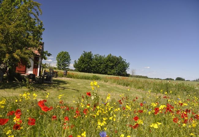 Ferienhaus in Borghamn - Vättern Torp Ferienhaus in Borghamn - Vättern Torp