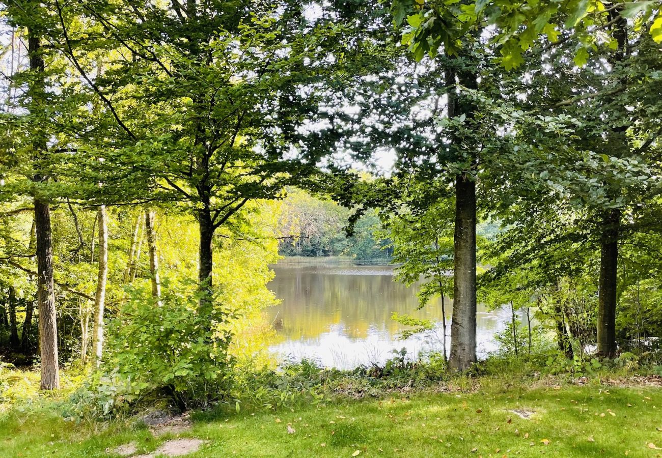 Ferienhaus in Broby - Modernes Ferienhaus am Ufer des Helgeån