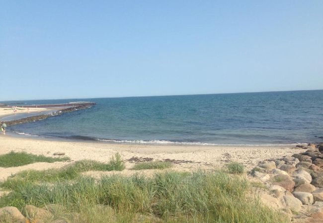 Ferienhaus in Löderup - Ferienhaus am direkt an der Ostsee in Skåne