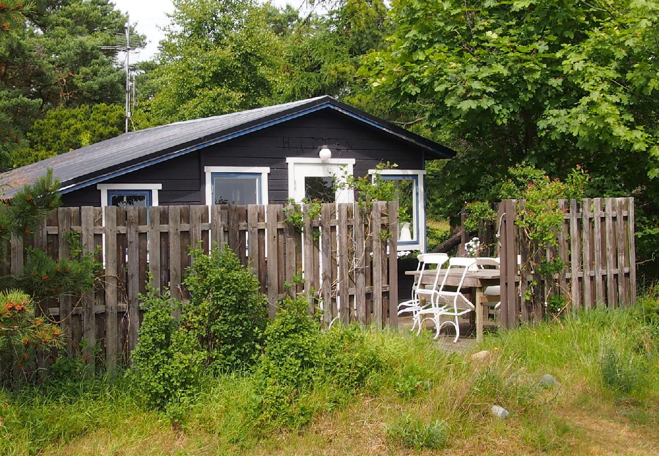 Ferienhaus in Löderup - Ferienhaus am direkt an der Ostsee in Skåne