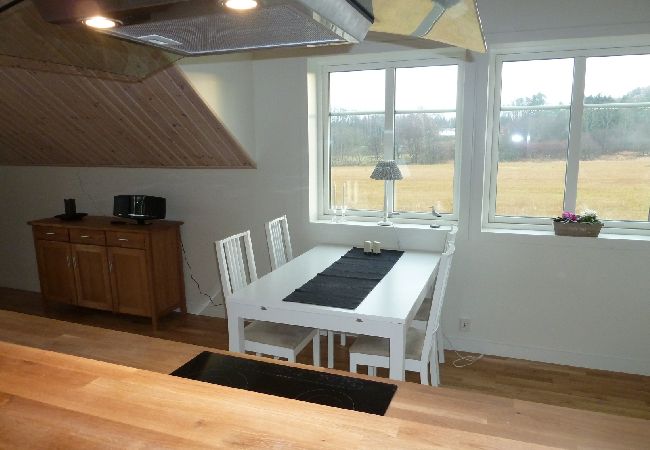 Ferienwohnung in Fagerfjäll - Lägenhet Djupvik