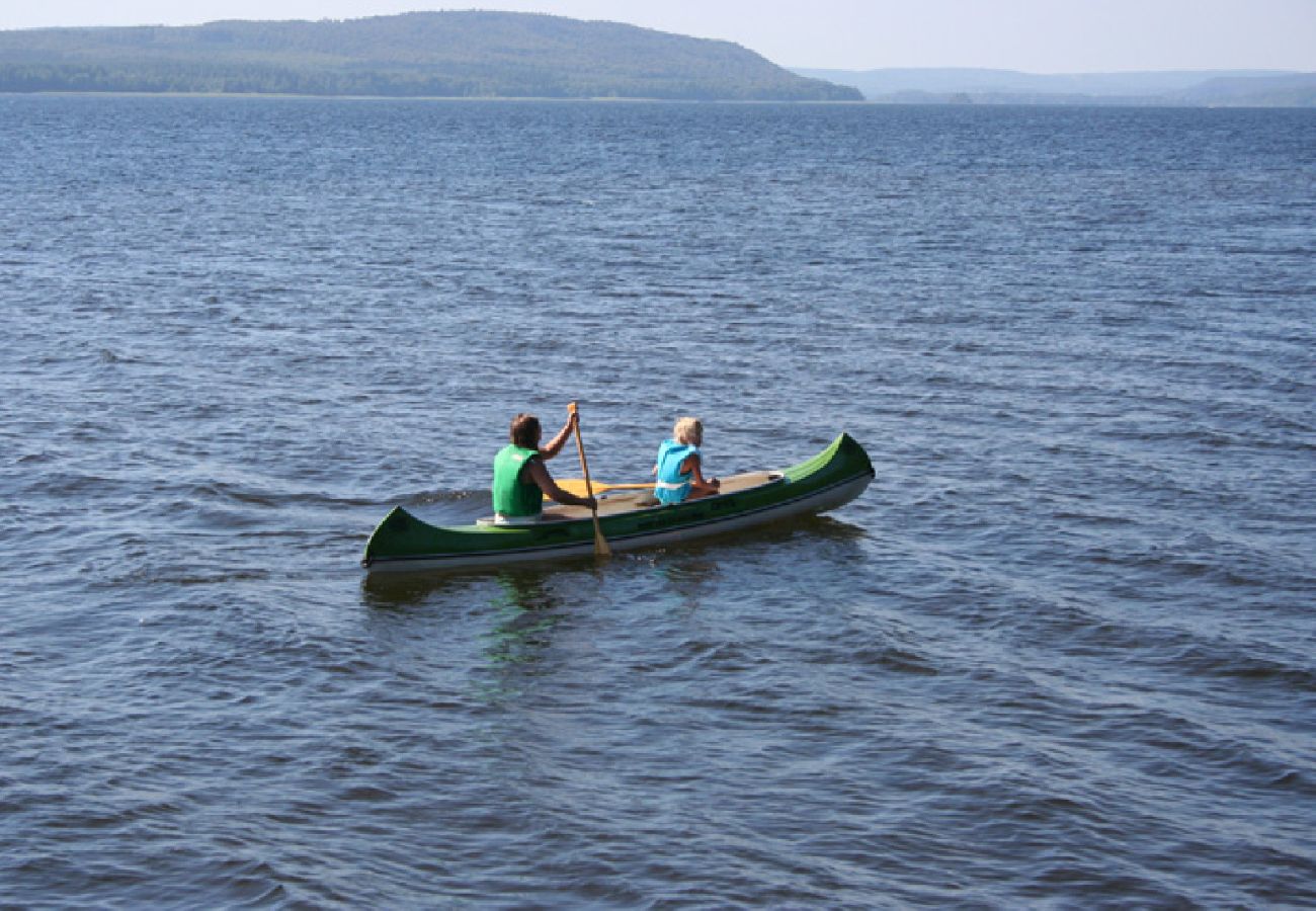 Ferienwohnung in Bromölla - Schöne Ferienwohnung direkt am See mit Boot, Kanu, Internet und Jacuzzi