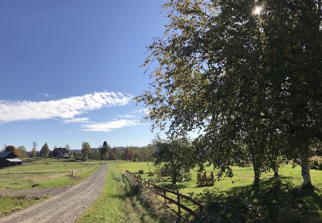 Ferienhaus in Koppom - Björkbacka Torpet Ferienhaus in Koppom - Björkbacka Torpet