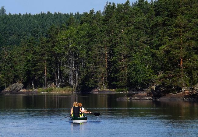 Ferienhaus in Rosenfors - Ruhig gelegen direkt am Wald und 300 vom Wasser