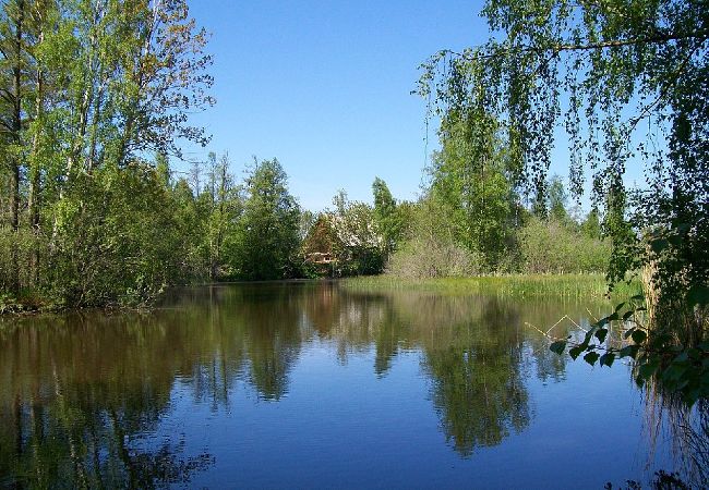Ferienhaus in Rosenfors - Ruhig gelegen direkt am Wald und 300 vom Wasser Ferienhaus in Rosenfors - Ruhig gelegen direkt am Wald und 300 vom Wasser