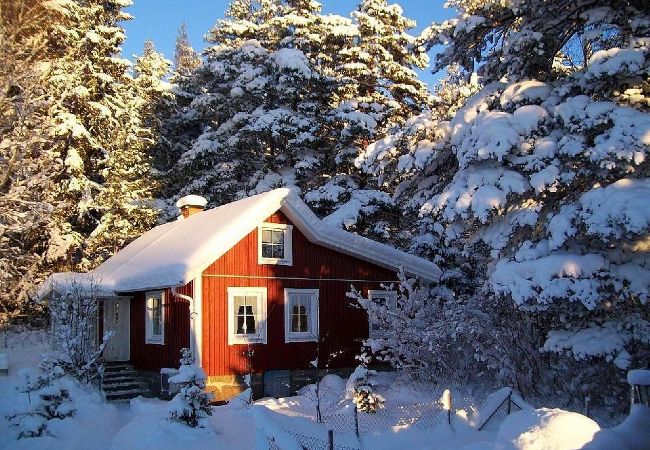 Ferienhaus in Rosenfors - Ruhig gelegen direkt am Wald und 300 vom Wasser Ferienhaus in Rosenfors - Ruhig gelegen direkt am Wald und 300 vom Wasser