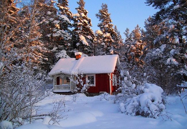Ferienhaus in Rosenfors - Ruhig gelegen direkt am Wald und 300 vom Wasser Ferienhaus in Rosenfors - Ruhig gelegen direkt am Wald und 300 vom Wasser