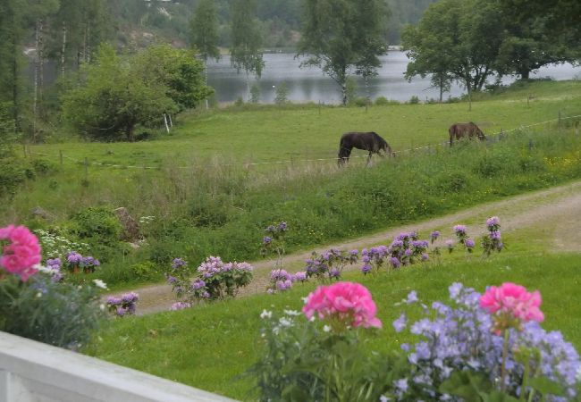 Ferienhaus in Uddevalla - Gunnerödsjön Ferienhaus in Uddevalla - Gunnerödsjön